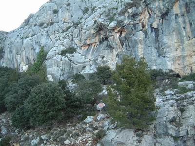 DSCF0077.JPG